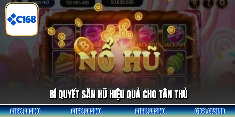 Bí quyết săn hũ hiệu quả cho tân thủ Bí quyết săn hũ hiệu quả cho tân thủ