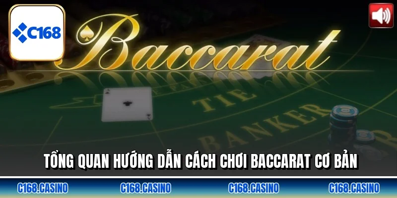 Tổng quan hướng dẫn cách chơi baccarat cơ bản